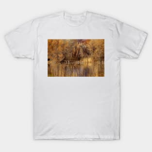 Autumn Relections T-Shirt